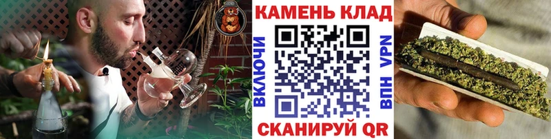 ГАШ Premium Поворино