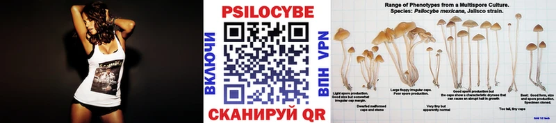 Галлюциногенные грибы Magic Shrooms  Поворино 