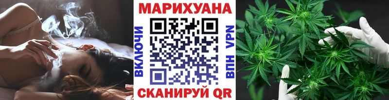 Конопля сатива  Поворино 